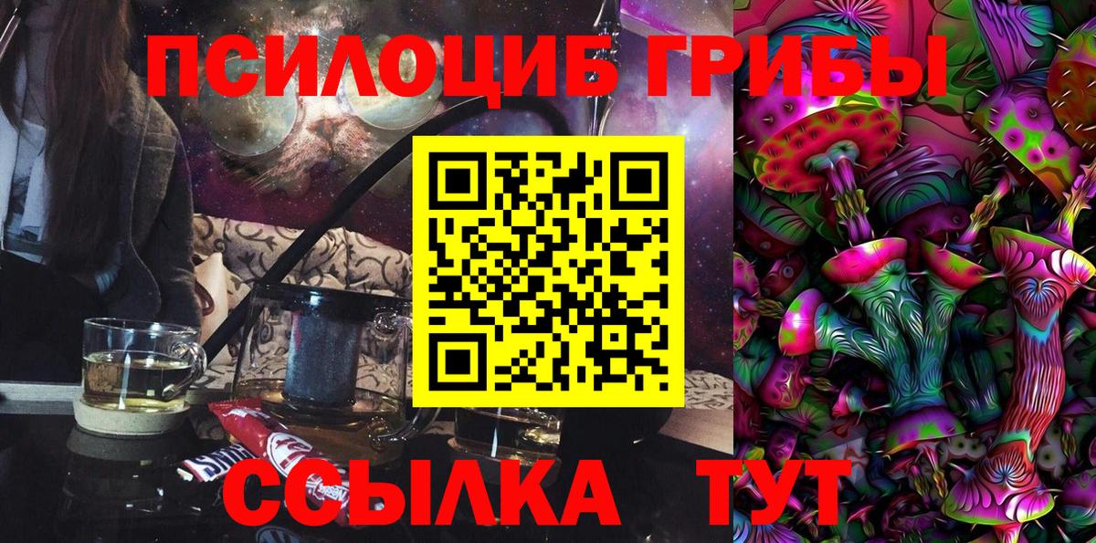 закладка  Вход с VPN  Орёл  Псилоцибиновые грибы MAGIC MUSHROOMS  Галлюциногенные грибы Cubensis 
